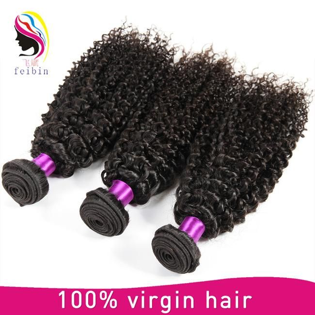 Without Any Processed Kinky Curl Virgin Malaysian Hair Weaving
