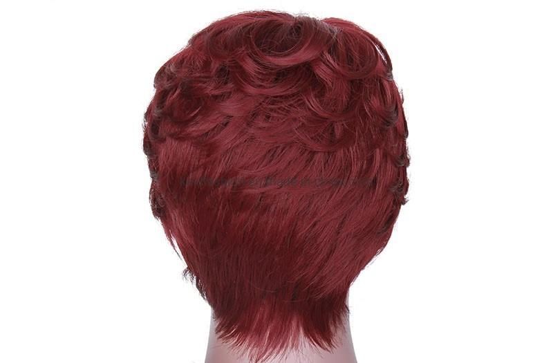 Kakiifashion Hair Cheap Price Short Synthetic Short Hairstyles Pixie Cut Wig