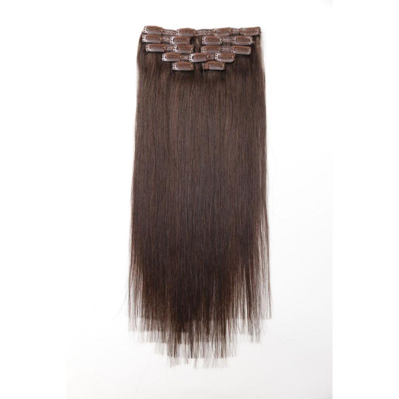 Clip on Human Hair Extensions Brazilian Virgin Hair Clip in Hair Extensions #2