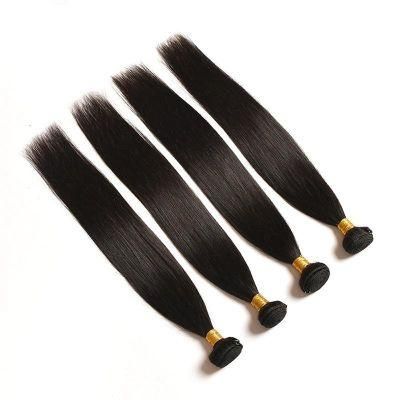 Sunligt 12A Grade 100% Human Hair Cheap Bundles with Closure