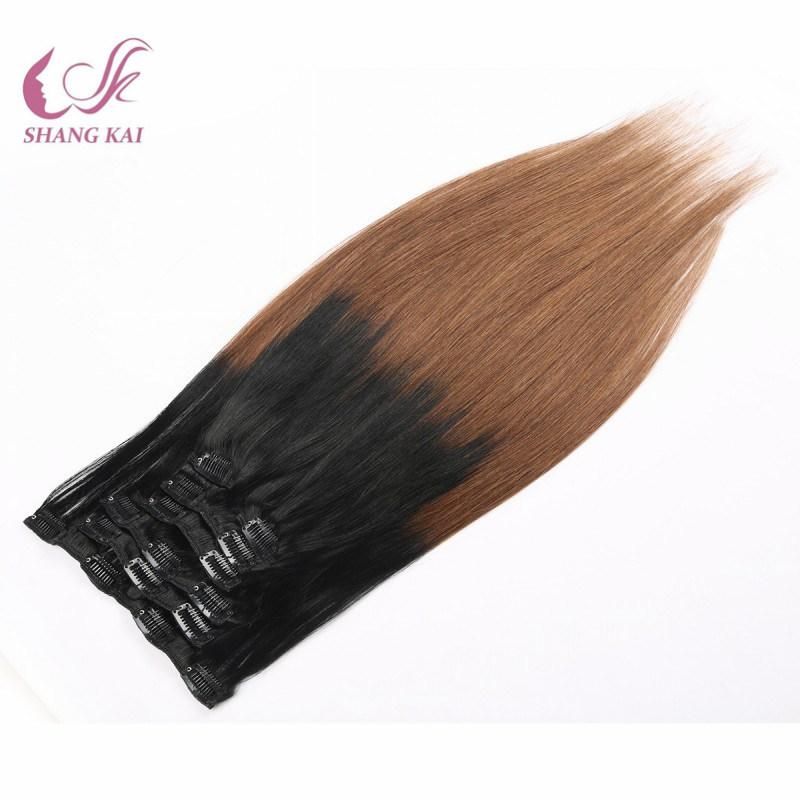 Ombre Color Wholesale Price Clip in Hair Extensions