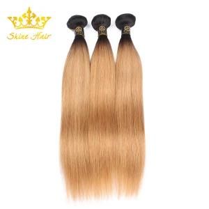 Wholesale Remy Human Hair Extension in Ombre Color #1b/27 Silk Straight Hair Bundle