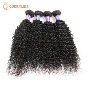 Raw Unprocessed Kinky Curly Virgin Cuticle Aligned Brazilian Hair