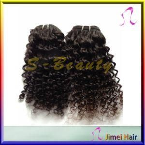 Human Hair Extension Weft (SB-B-CW)