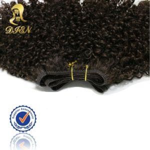 100% Unprocessed Brazilian Virgin Hair Extension Kinky Curly