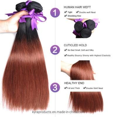 Wholesale Best Price Brazilian Virgin Hair 100% Human Hair Bundles Ombre 1b/33 Remy Hair Extensions