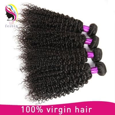 Virgin Indian Hair Kinky Curly Virgin Human Hair Cheap Hair