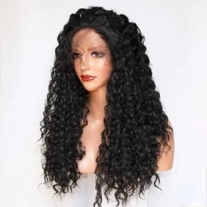 180% Density Hair Factory Quality Guaranteed 100% Human Virgin Remy Curly Human Hair Wig
