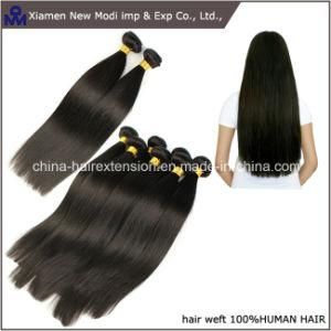 Silkly Straight Human Hair Extension Brazilian Human Hair Weft