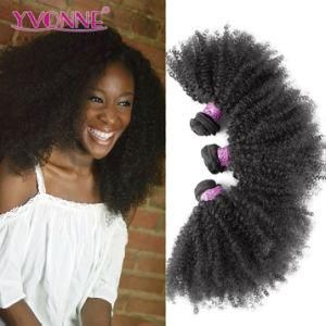 Yvonne Wholesale 100% Virgin Brazilian Human Hair Afro Kinky Curly Hair Extensions
