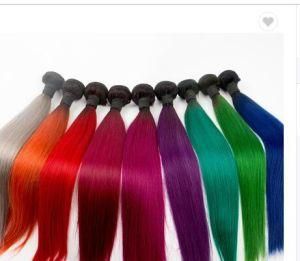 Human Hair Weft Extension Omber Color Straight Hair