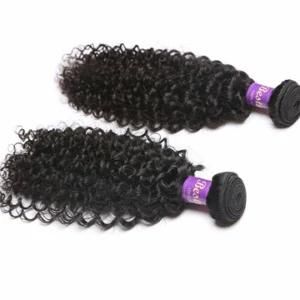 100% Human Hair Weaving Kinky Curly Indian Virgin Hair