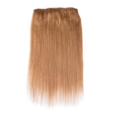 Brazilian Virgin Hair Clip in Hair Extensions Unprocessed Human Hair Extensions #27