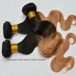 Unprocessed Ombre Virgin Brazilian Hair