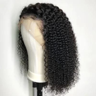 Afro Kinky Curly Brazilian Human Hair Lace Wig