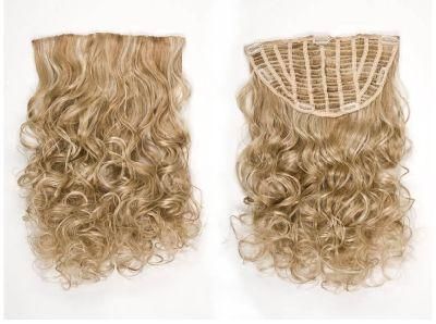 Clip in Half Wig Hairpieces Virgin Hair Clip on Hair Extensions (AV-HW00-26)