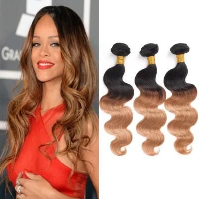 Ombre Human Hair Peruvian Hair Extension Body Wave Bundles 16 Inches