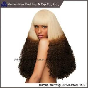 Muti- Color Human Hair Full Lace Wig
