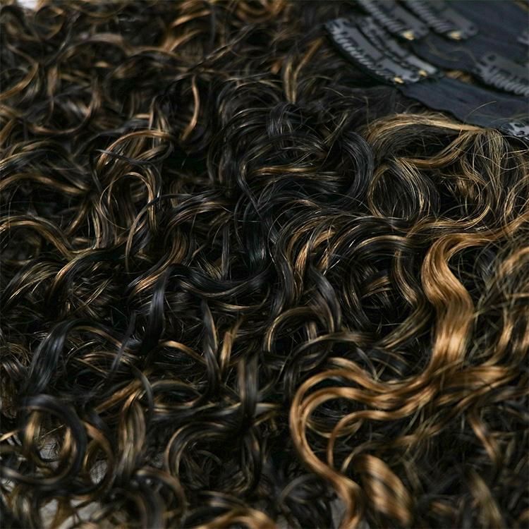 12A Double Drawn Remy Highlights 100% Human Hair Clip in Extensions #1b/6