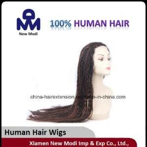Braid Hair Brazilian Human Hair Wig Full Lace Wig