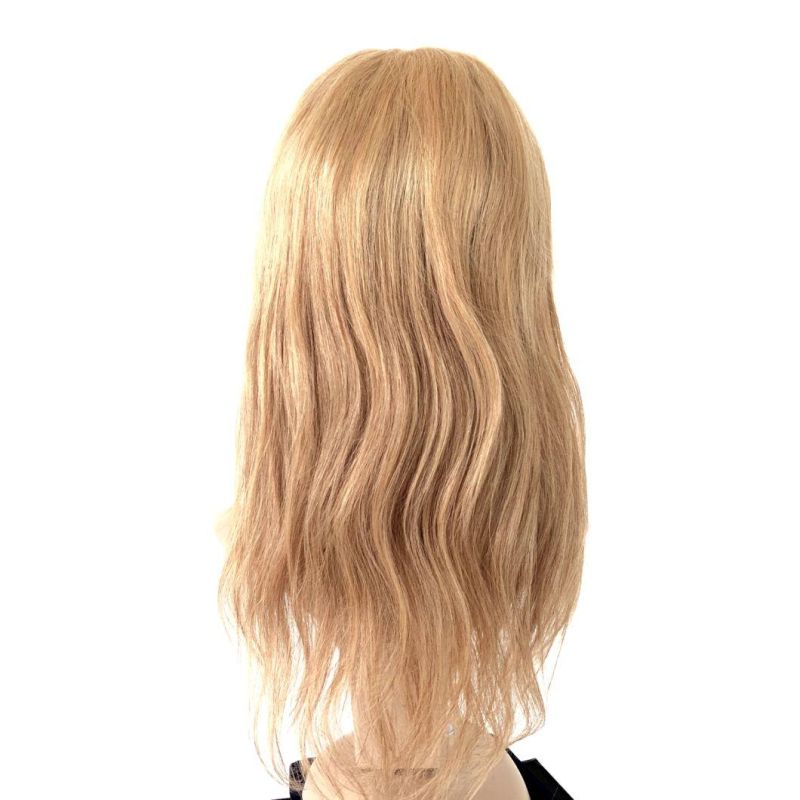 Cheap Wholesale Cuticel Aligned Lace Frontal Human Hair Wig