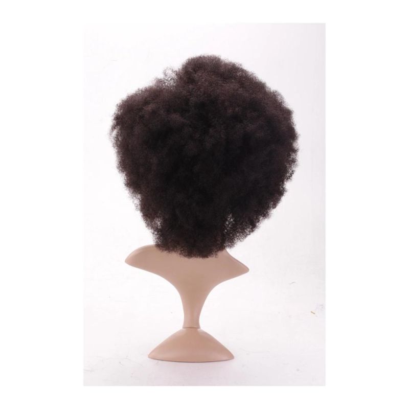 Hotsale Popular Afro Kinky Curly Swiss Lace Remy Human Hair Wig