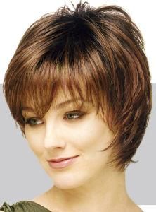 Top Grade Virgin 100% Human Hair Wigs for Women (Kinshofa 639310)