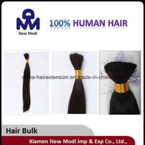 Hair Bulk Virgin Human Hair Hair Extension