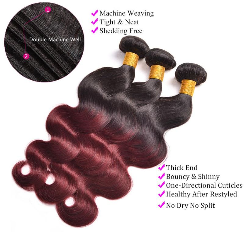 Alinybeauty Color 1b 99j Unprocessed Human Hair Weaves