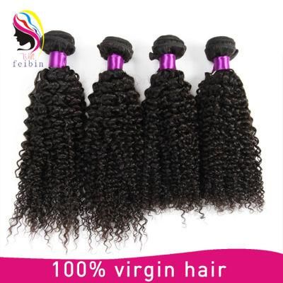2018 New Arrival 100% Brazilian Virgin Remy Human 8A Kinky Curl Hair Extension