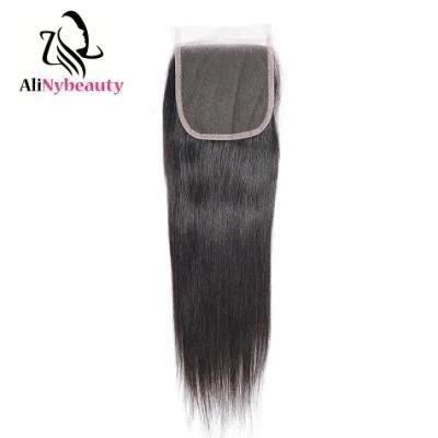 Alinybeauty Factory Price Brazilian Human Hair Straight Lace Closure