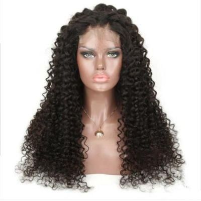 Full Lace Human Hair Wigs Pre Plucked Baby Hair Glueless Brazilian Curly Transparent Lace Wig