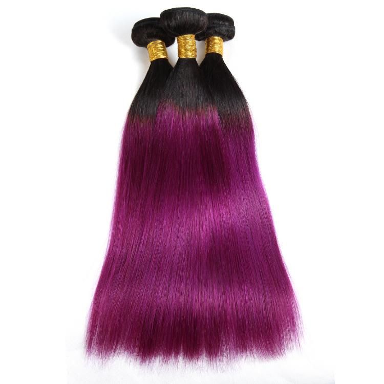 Bone Straight Human Hair Bundles Brazilian Hair Weave Extension #T1b/Purple