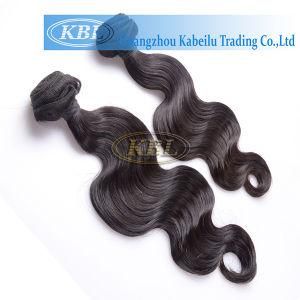 Raw Hair Malaysian Human Hair Weft