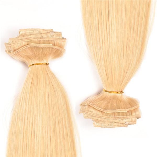 Clip in Colored Hair Extensions/Blond Human Hair Extension