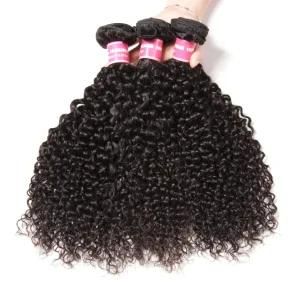 Malaysian Curly Hair Soft and Smooth Wavy Weave Hair Bundles