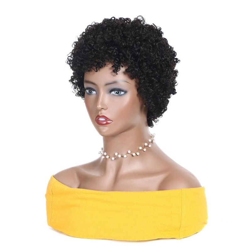 Kinky Curly Pixie Cut Wigs Short Human Hair Wig with Lace Front Human Brazilian Hair Wig for Black Women