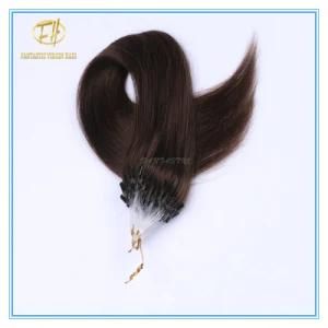 Customized Color High Quality Double Drawn Micro Ring Extension Hairs with Factory Price Ex-024