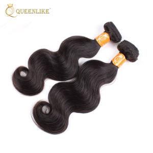 Virgin Cuticle Aligned Malaysian Human Hair Extensions