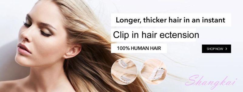 High Quality Cuticle Aligned Virgin Extension Clip in Kinky Hair