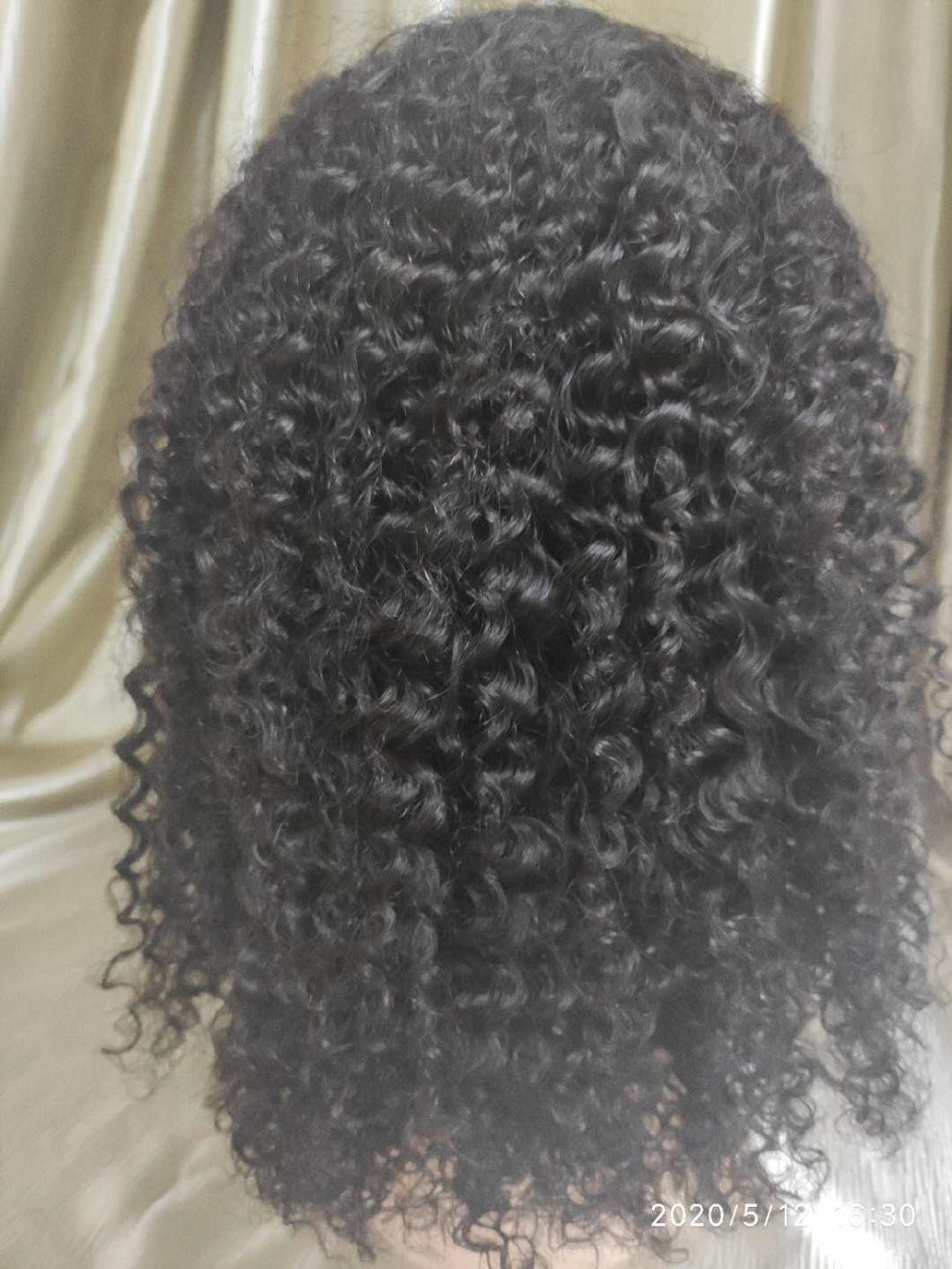 Mink Brazilian Human Hair Afro Kinky Curly Lace Wig