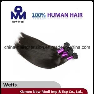 Lady Hair Weft Brazilian Human Hair