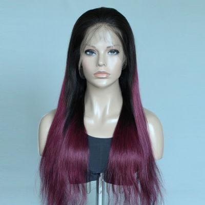 Belle Great Quality Brazilian Virgin Human Hair Wig for Women