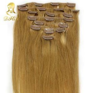 Remy Human Hair Clip in Hair Extensions Clip in Hair