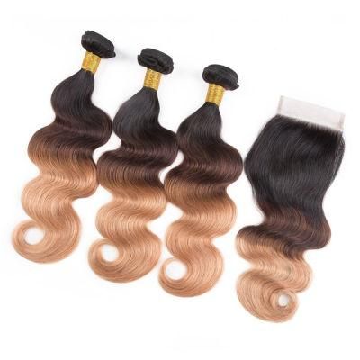 Ombre Brazilian Hair Bundles with Closure Body Wave Hair with Lace Closure Free Part 1b/4/27