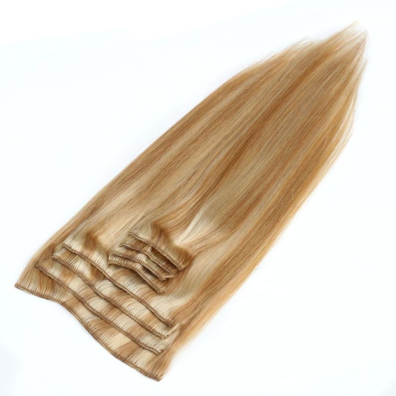 Fashion Color Clip on Hair Extension (WHH-CP-017)