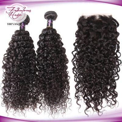 10A Cuticle Aligned Curly Brazilian Hair Bundles with Closure