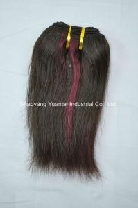 Straight Brazilian/Chinese Human Hair Weaving/ Weft/ Curtain