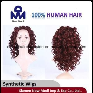 Hair Wig Full Lace Wig Lady Synthetic Hair Wig