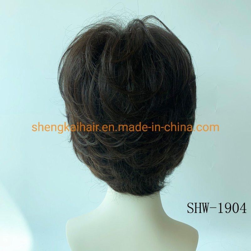 Wholesale Human Hair Synthetic Hair Mix Handtiedchina Hair Wigs for Women